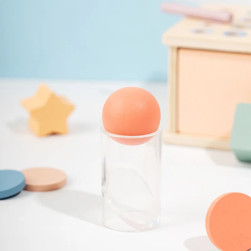 Houten Montessori Sorteerbox – Vormen, Munten, Ballen of Stokjes | Sensorisch Speelgoed 3-6 jaar