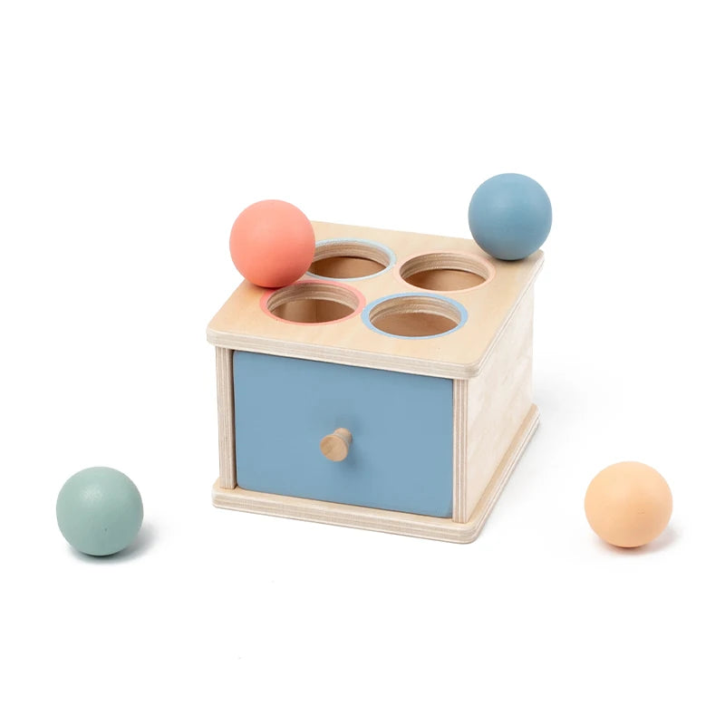 Houten Montessori Sorteerbox – Vormen, Munten, Ballen of Stokjes | Sensorisch Speelgoed 3-6 jaar