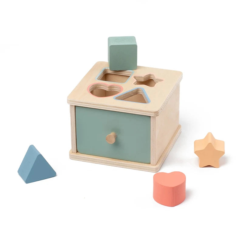 Houten Montessori Sorteerbox – Vormen, Munten, Ballen of Stokjes | Sensorisch Speelgoed 3-6 jaar