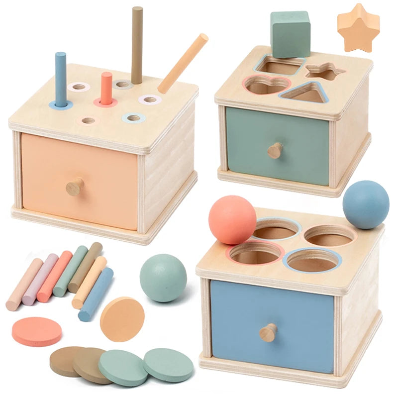 Houten Montessori Sorteerbox – Vormen, Munten, Ballen of Stokjes | Sensorisch Speelgoed 3-6 jaar